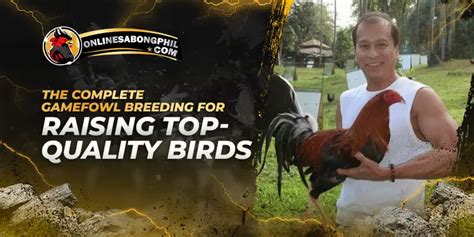 The Total Gamefowl – Your Complete Gamefowl .